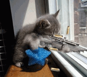 cats8tt.gif